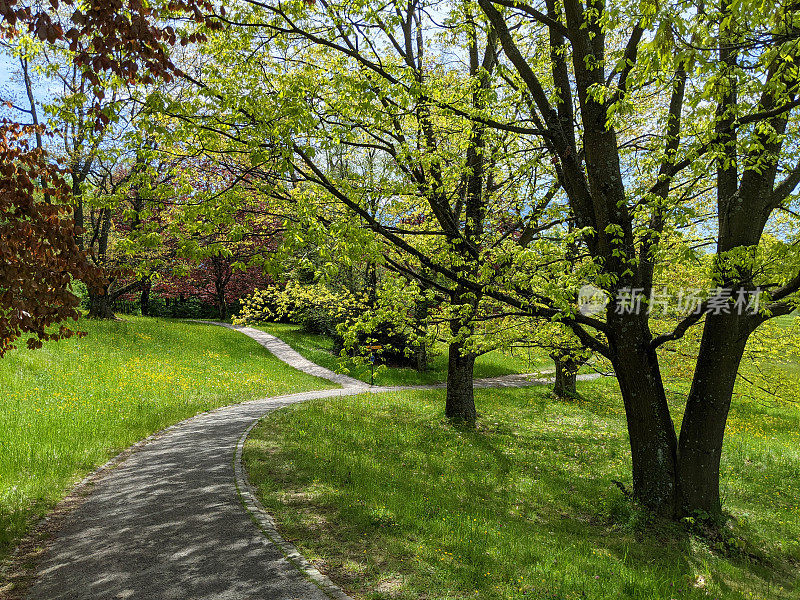 位于瑞士洛桑的城市公园遗产公园(Parc Heritage)，春天的小径和步道，可以俯瞰城堡和大教堂地区